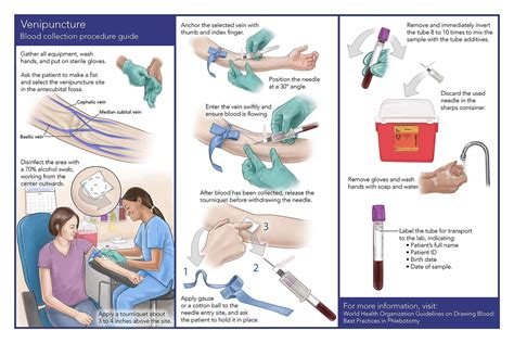 Phlebotomy 